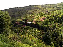 The National Botanical Garden of Georgia in Tbilisi